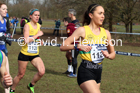 Senior women, 2020 British Athletics Inter Counties Cross Country Champs., Prestwold Hall, Loughborough. Photo: David T. Hewitson/Sports for All Pics